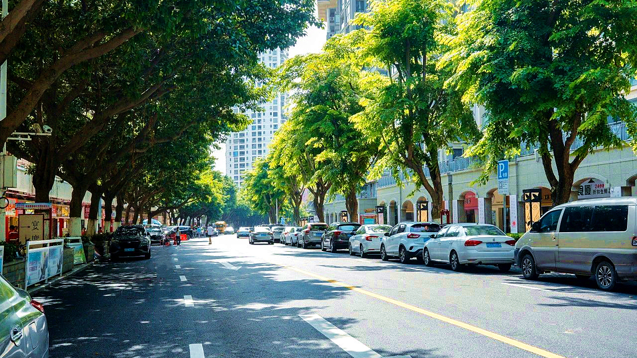 1694591712282876.jpg 樣板區域道路提升受好評 (3).jpg